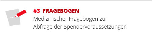#3 Fragebogen